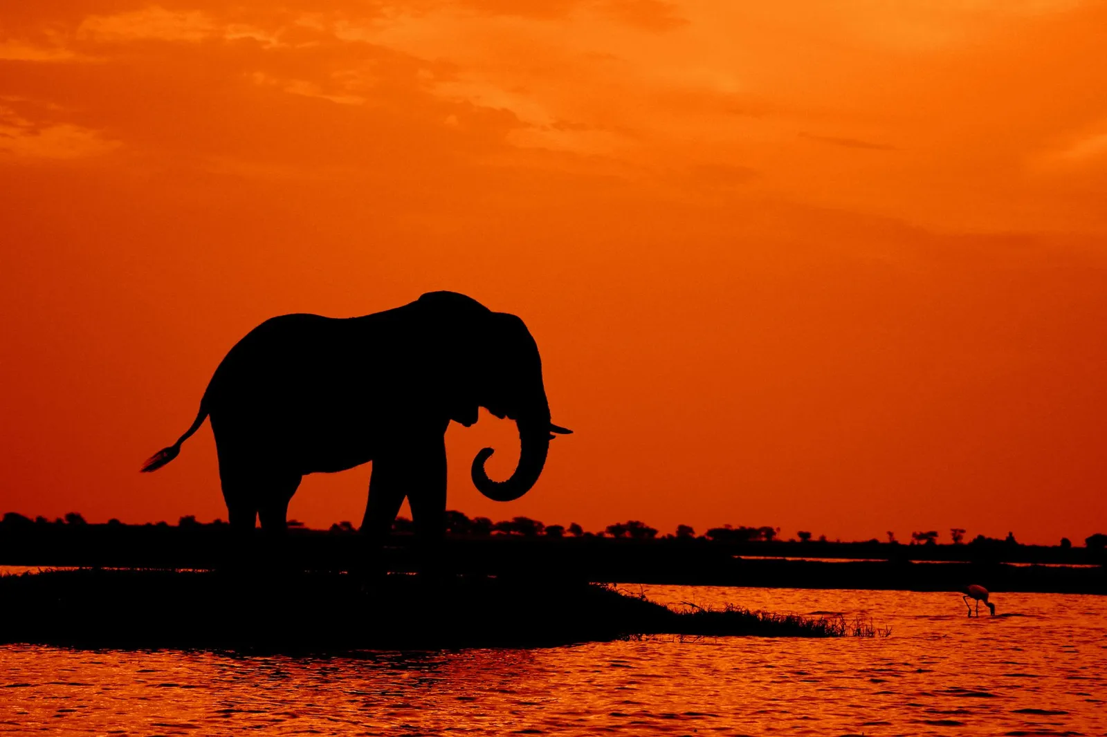 Chobe National Park & Riverfront