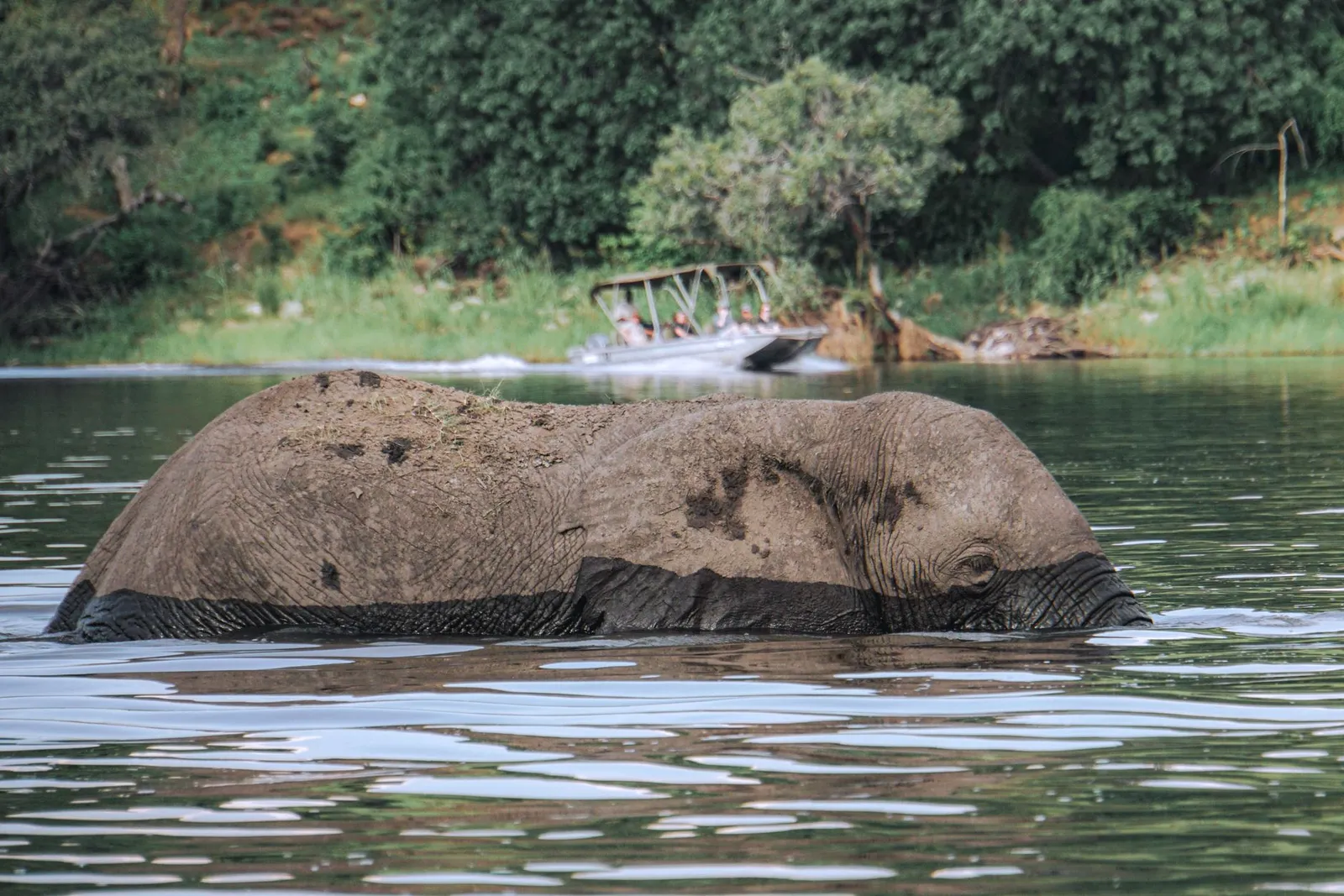 Chobe National Park & Riverfront — photograph 2