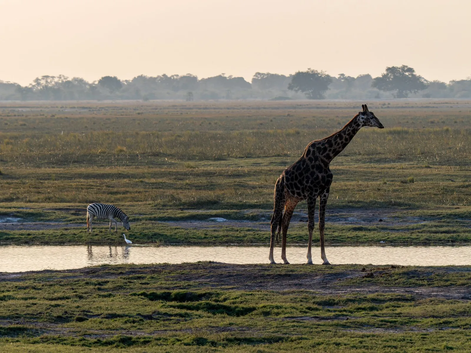 Chobe National Park & Riverfront — photograph 5