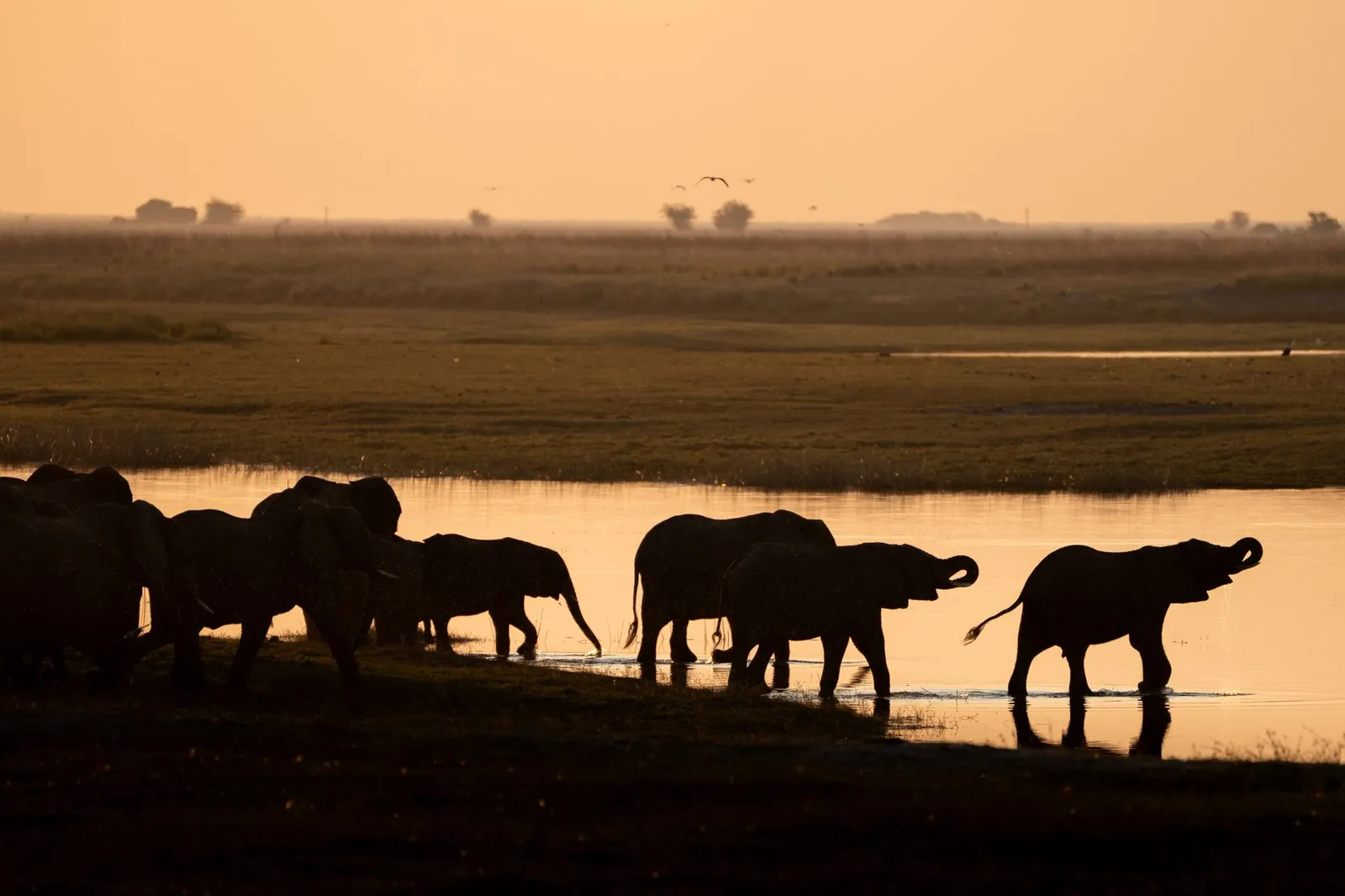 Chobe National Park & Riverfront — photograph 11