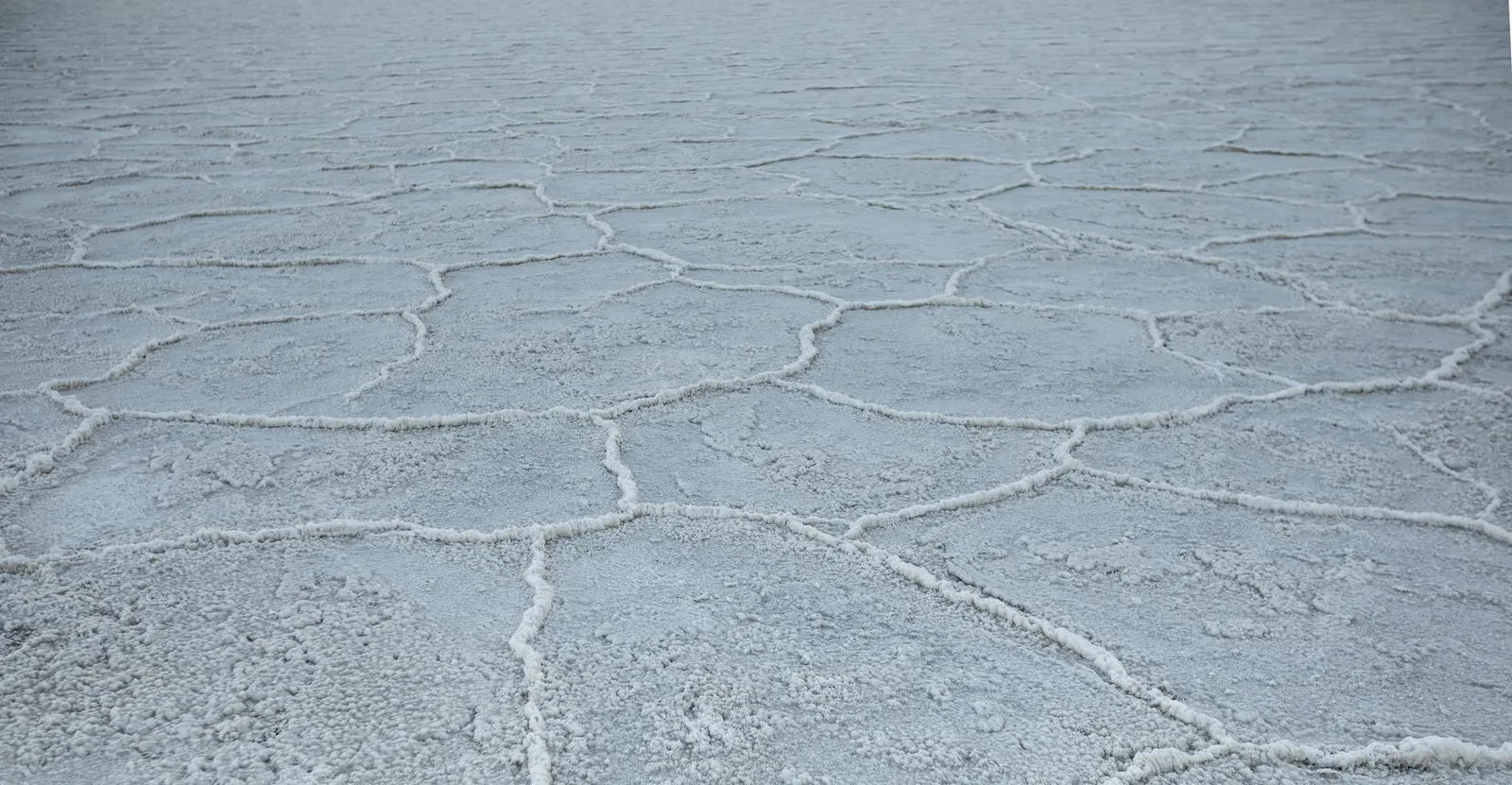 Makgadikgadi Pans — photograph 4