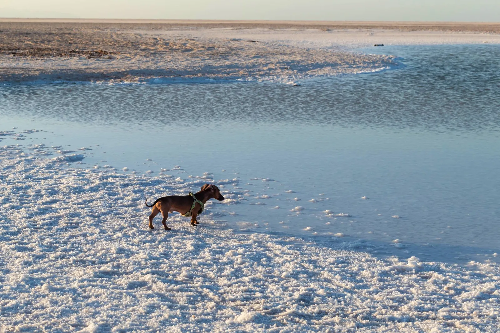 Makgadikgadi Pans — photograph 9