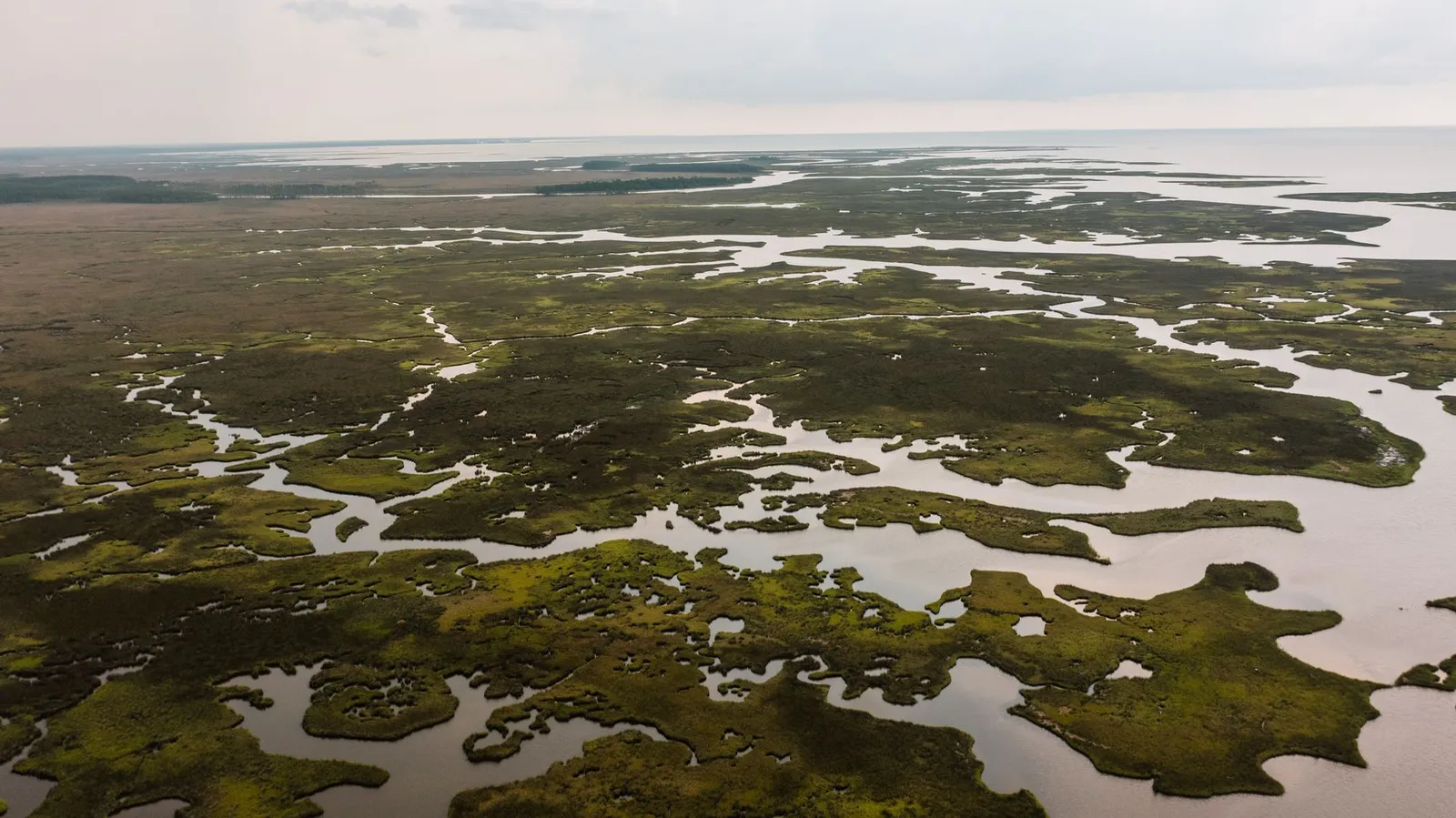 Okavango Delta — photograph 10