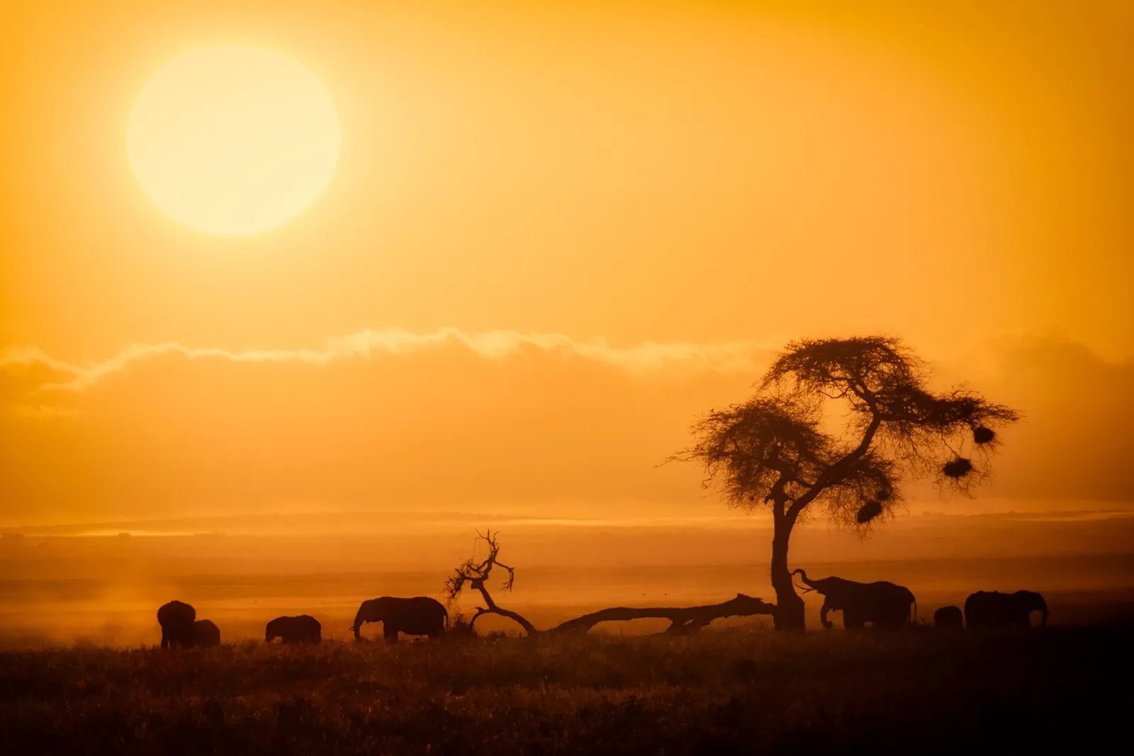 Amboseli National Park — photograph 2