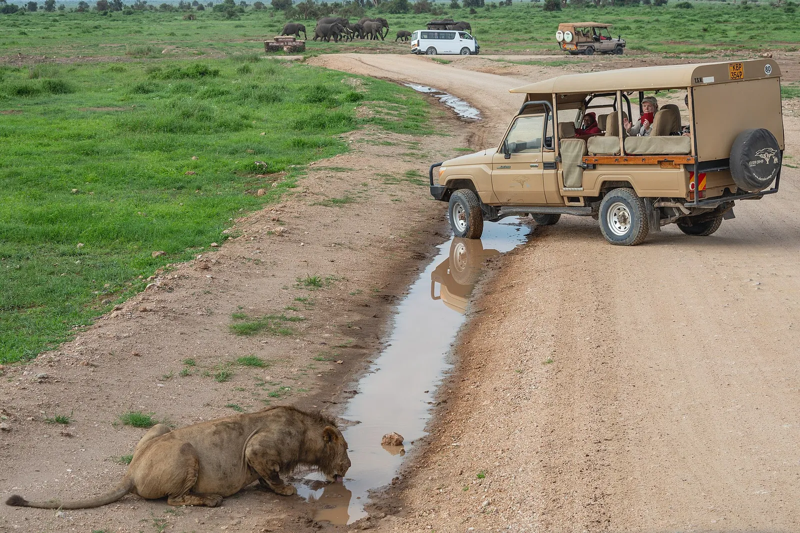 Amboseli National Park — photograph 5