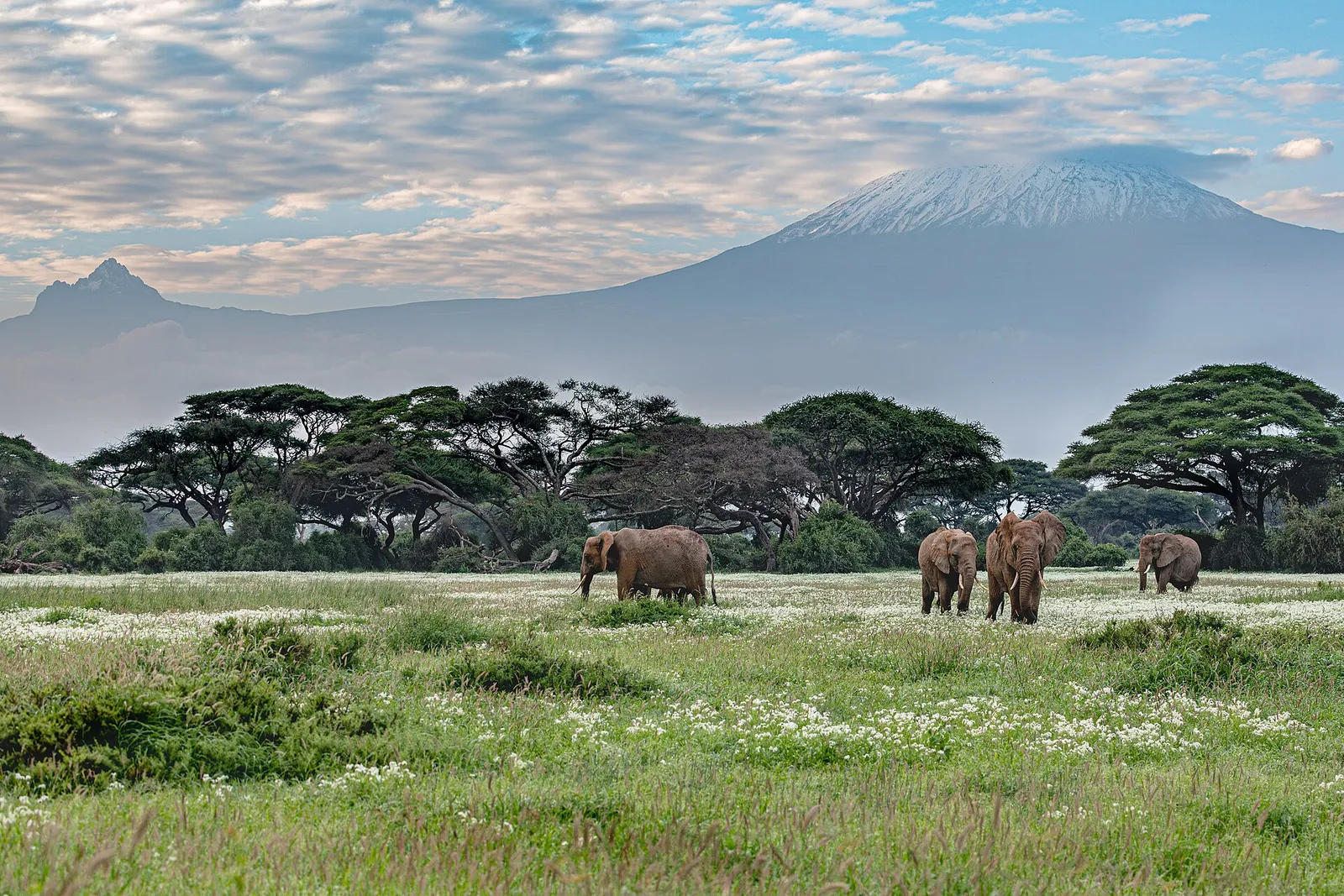 Amboseli National Park — photograph 7