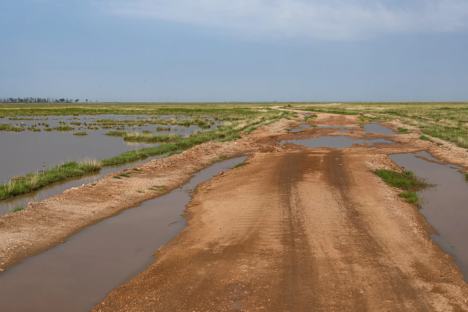Amboseli National Park — photograph 8
