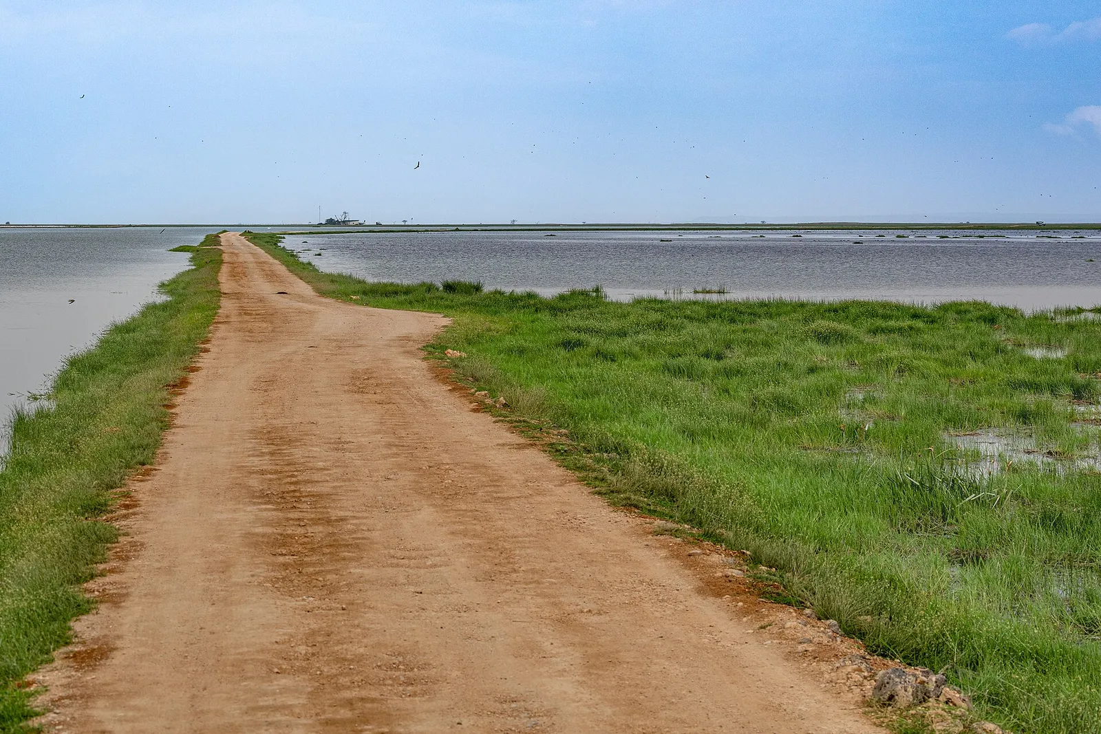 Amboseli National Park — photograph 10