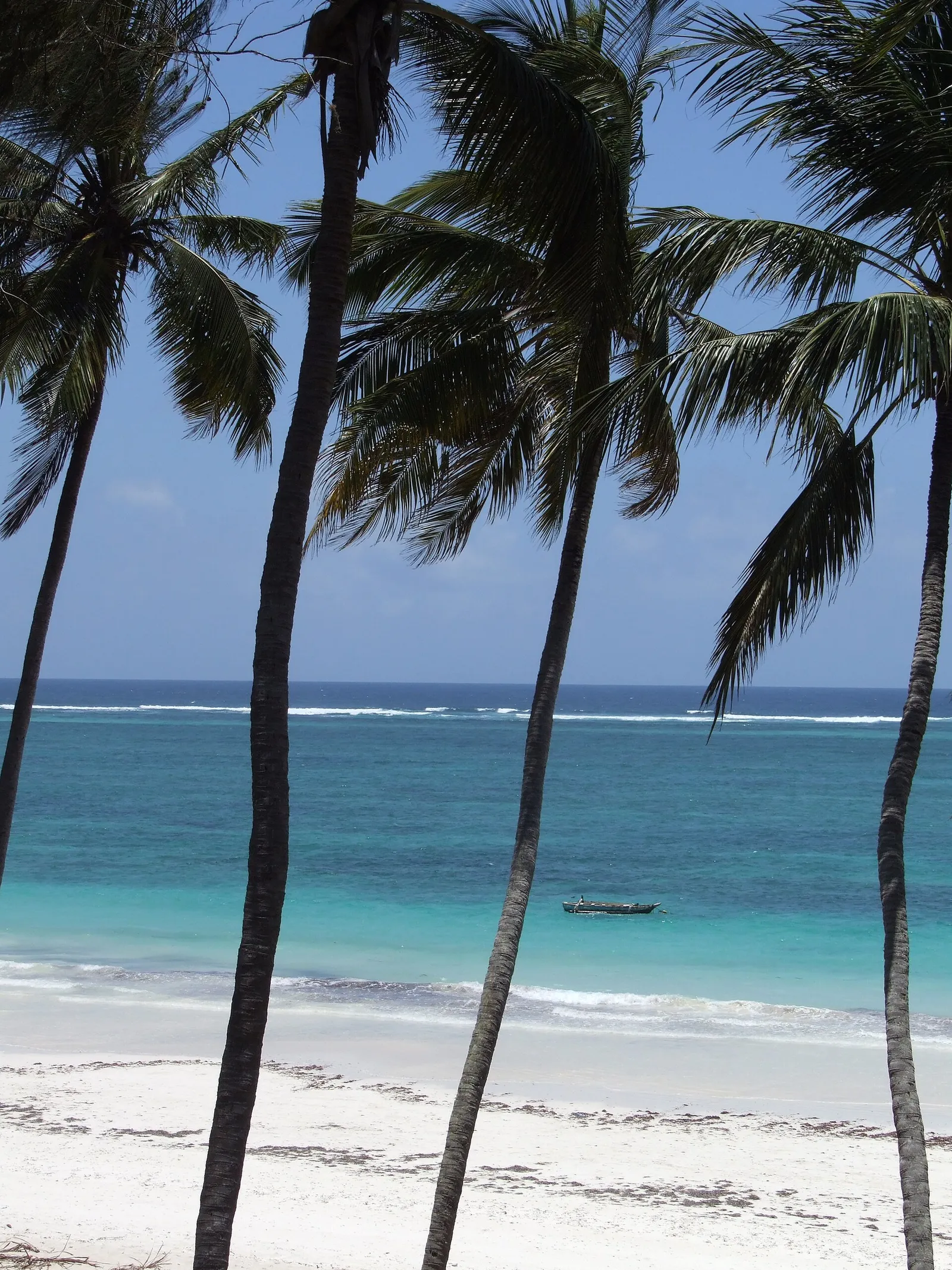 Bush and beach: pairing a Kenya safari with the coast