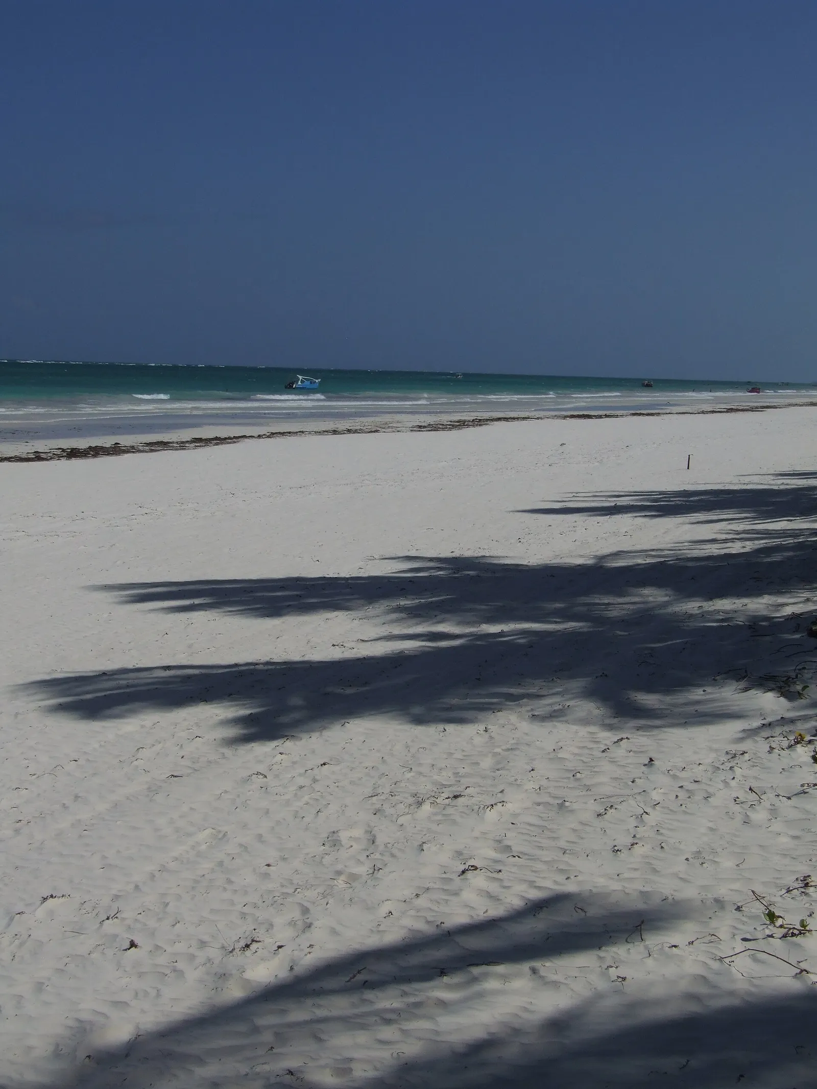Diani Beach — photograph 2