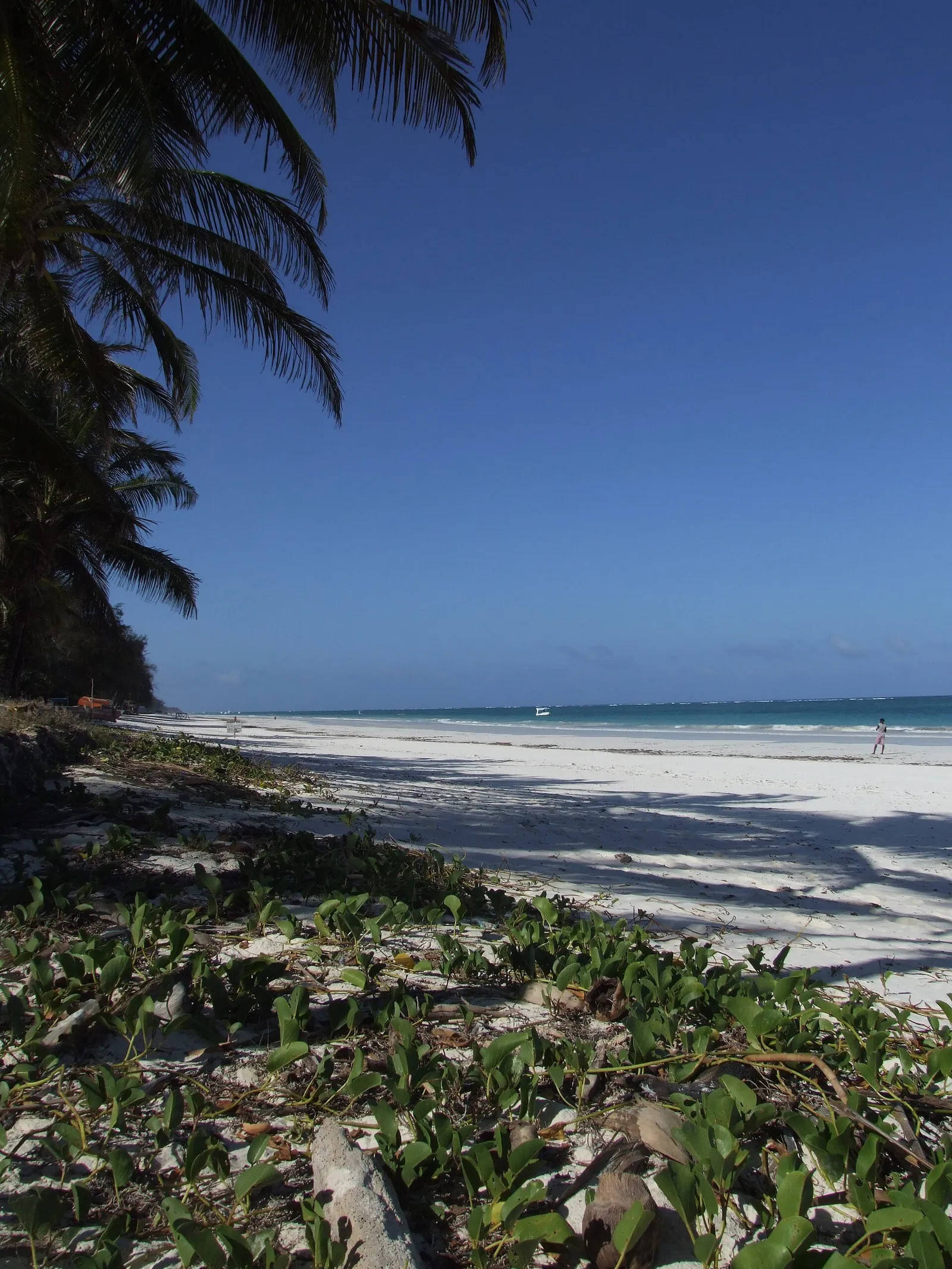 Diani Beach — photograph 4