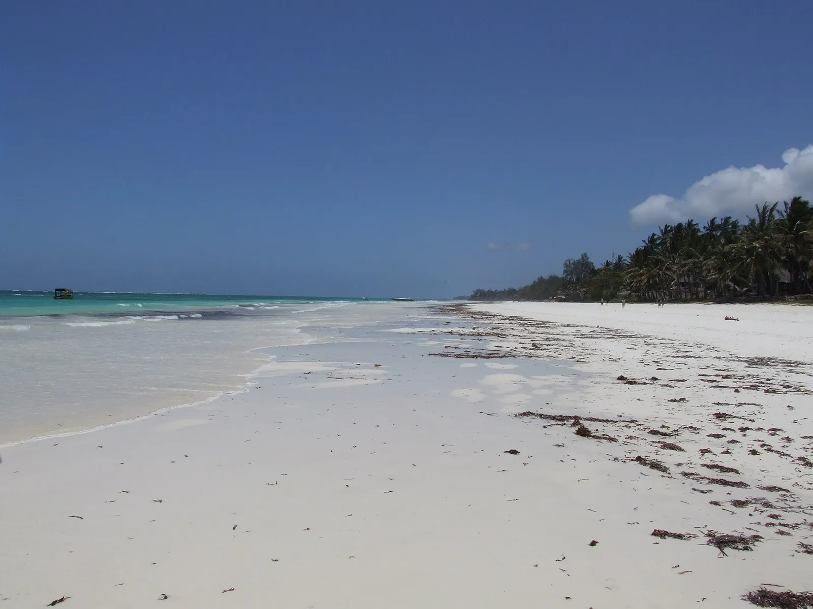 Diani Beach — photograph 5