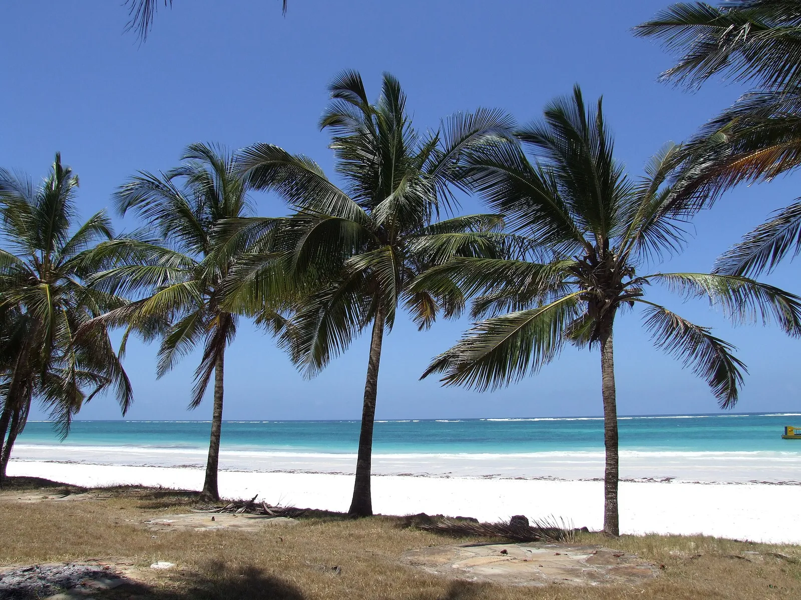 Diani Beach — photograph 6