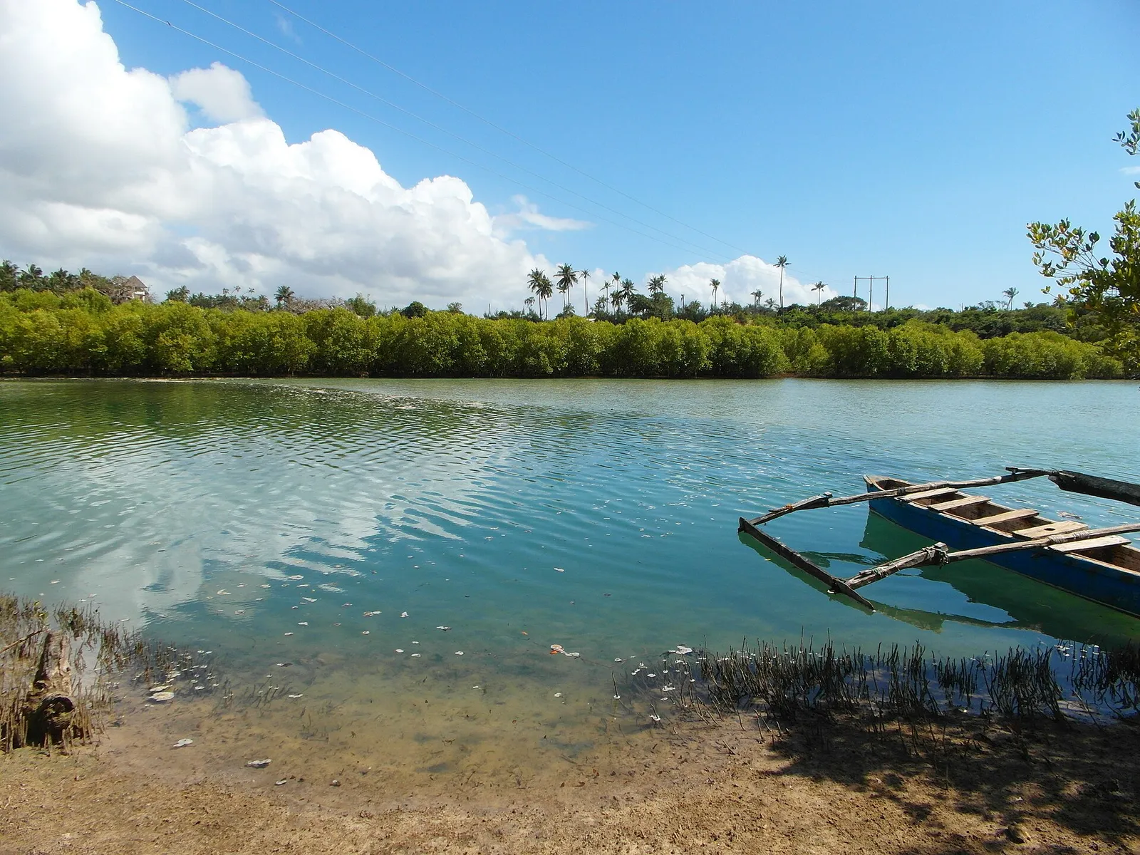 Diani Beach — photograph 10