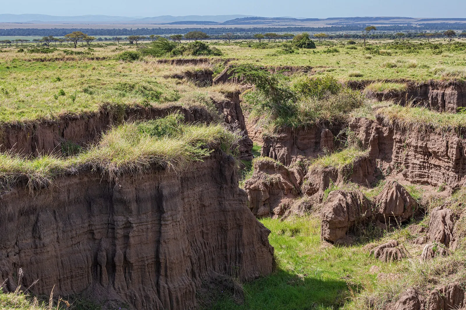 Maasai Mara National Reserve — photograph 6