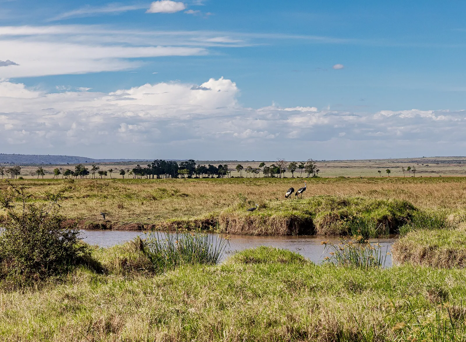 Maasai Mara National Reserve — photograph 8