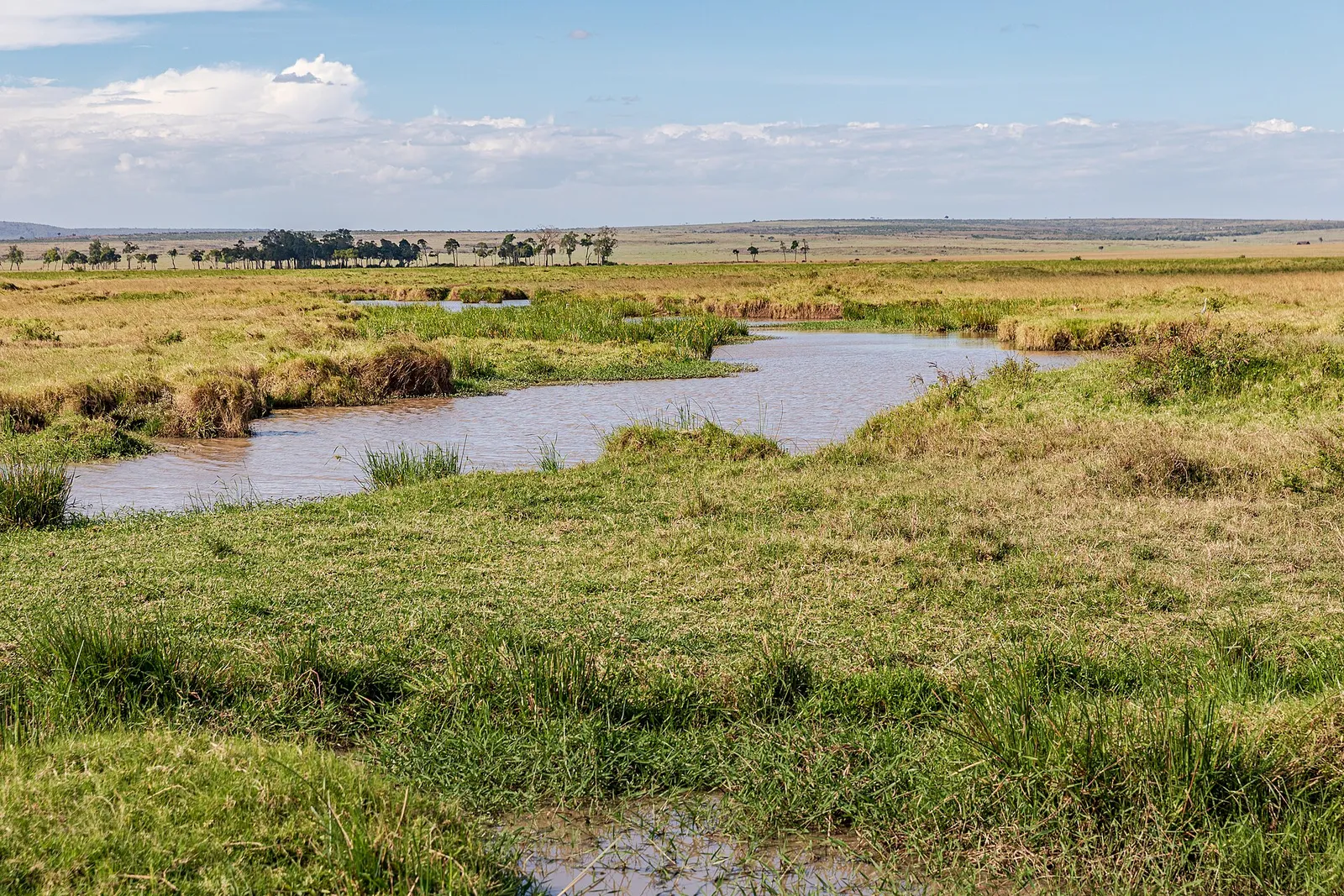 Maasai Mara National Reserve — photograph 9