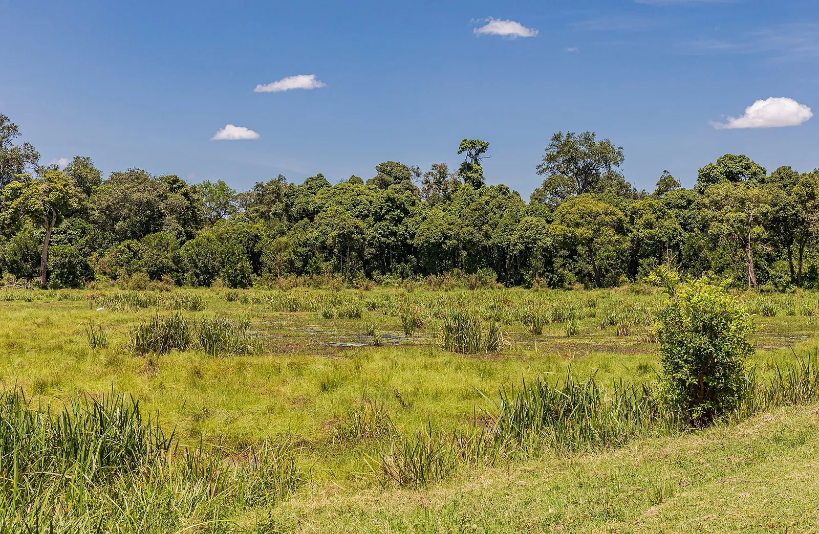 Maasai Mara National Reserve — photograph 10
