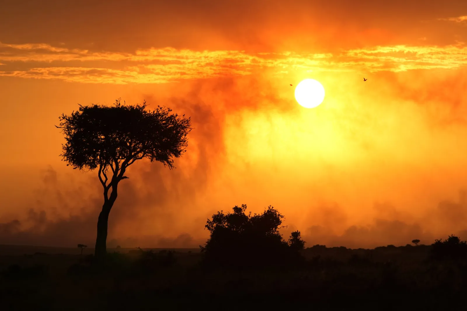 Maasai Mara National Reserve — photograph 11