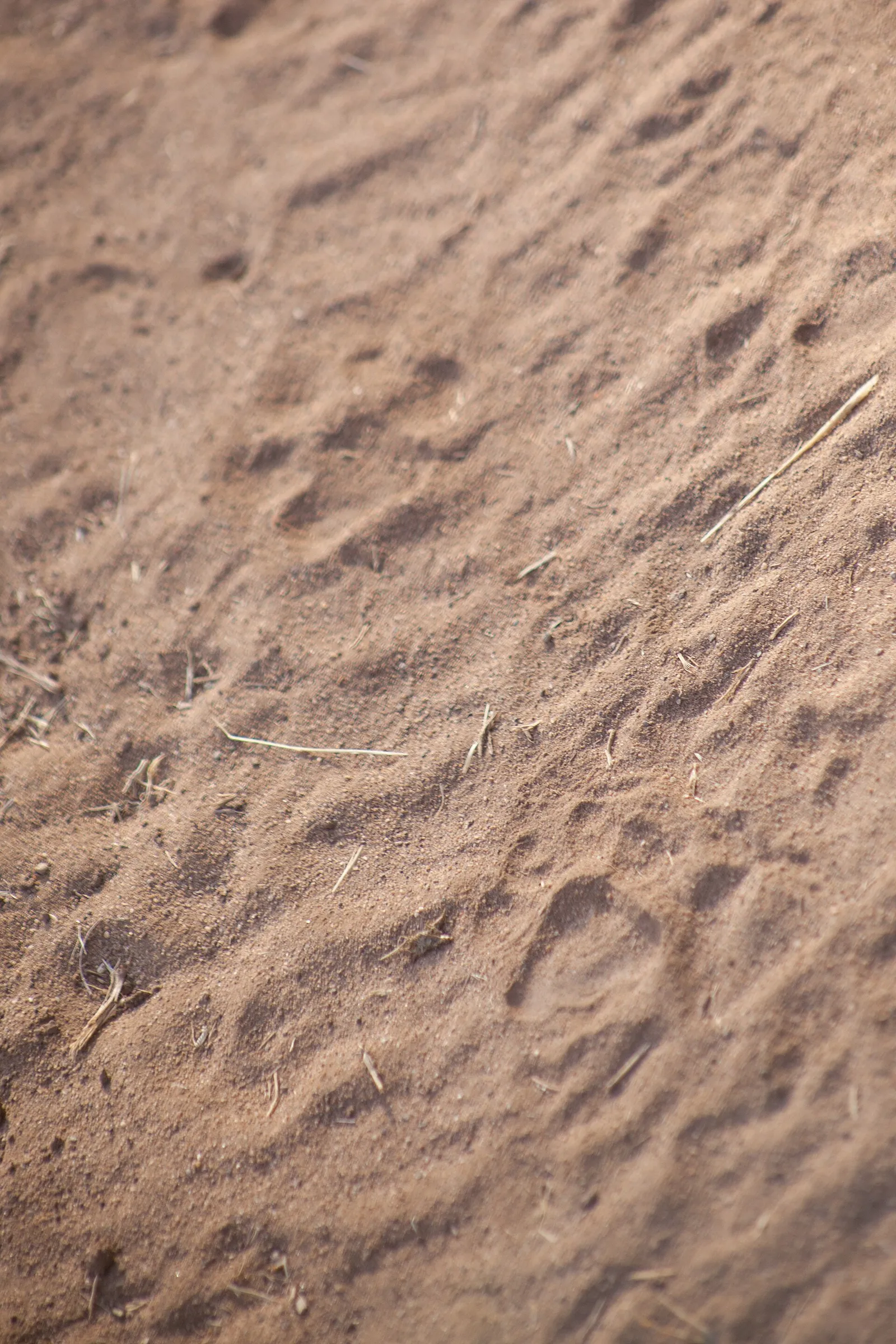 Samburu National Reserve — photograph 2