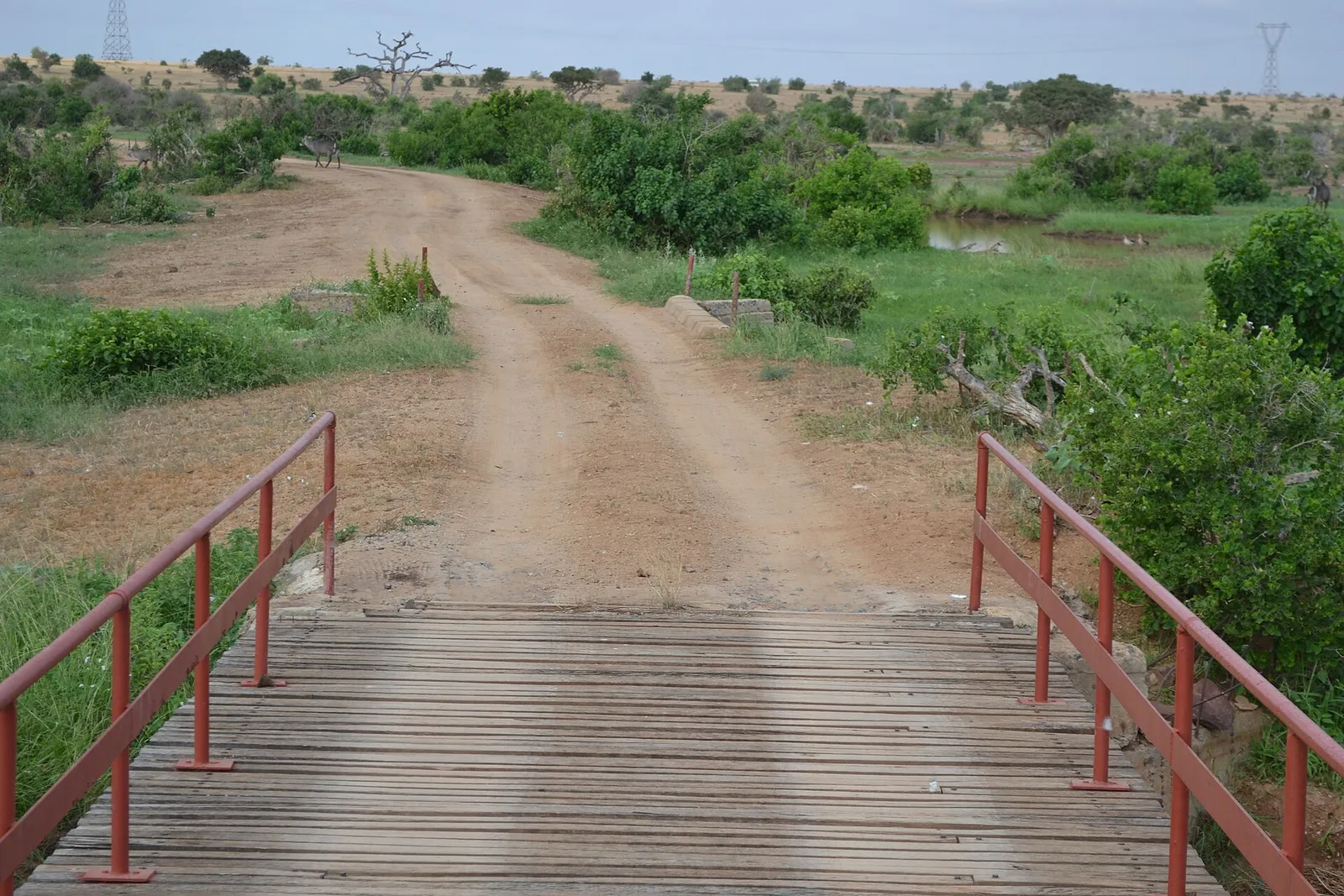 Tsavo East & West National Parks — photograph 6