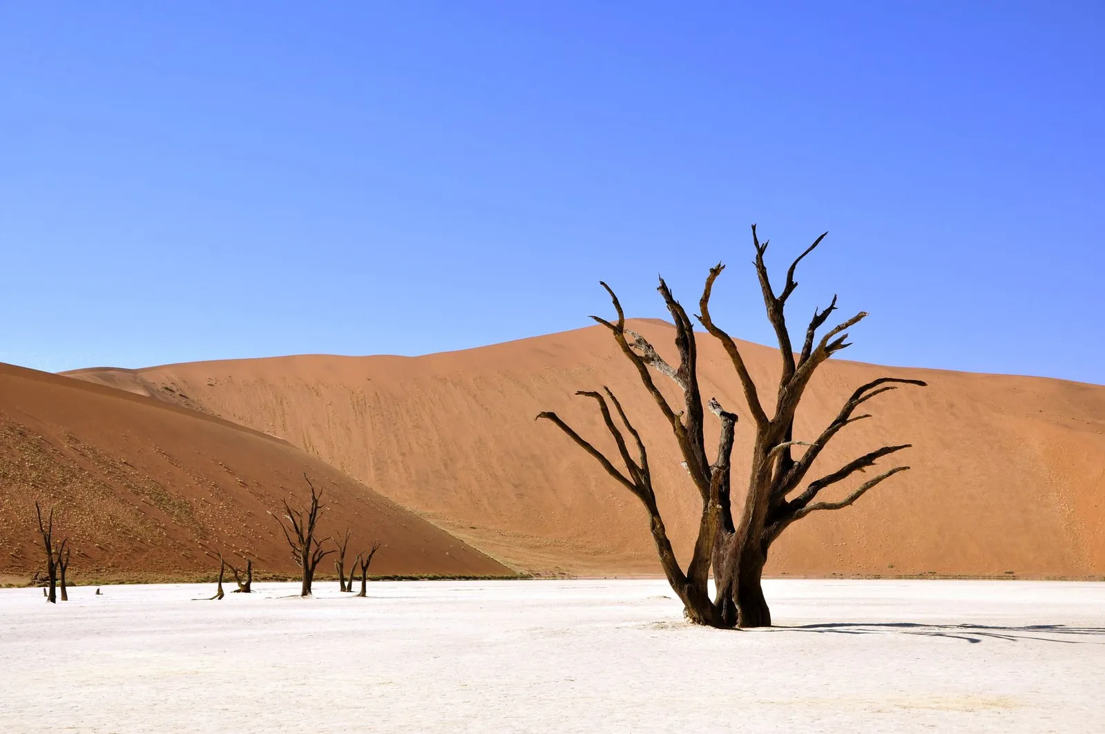 Namib-Naukluft National Park — photograph 2