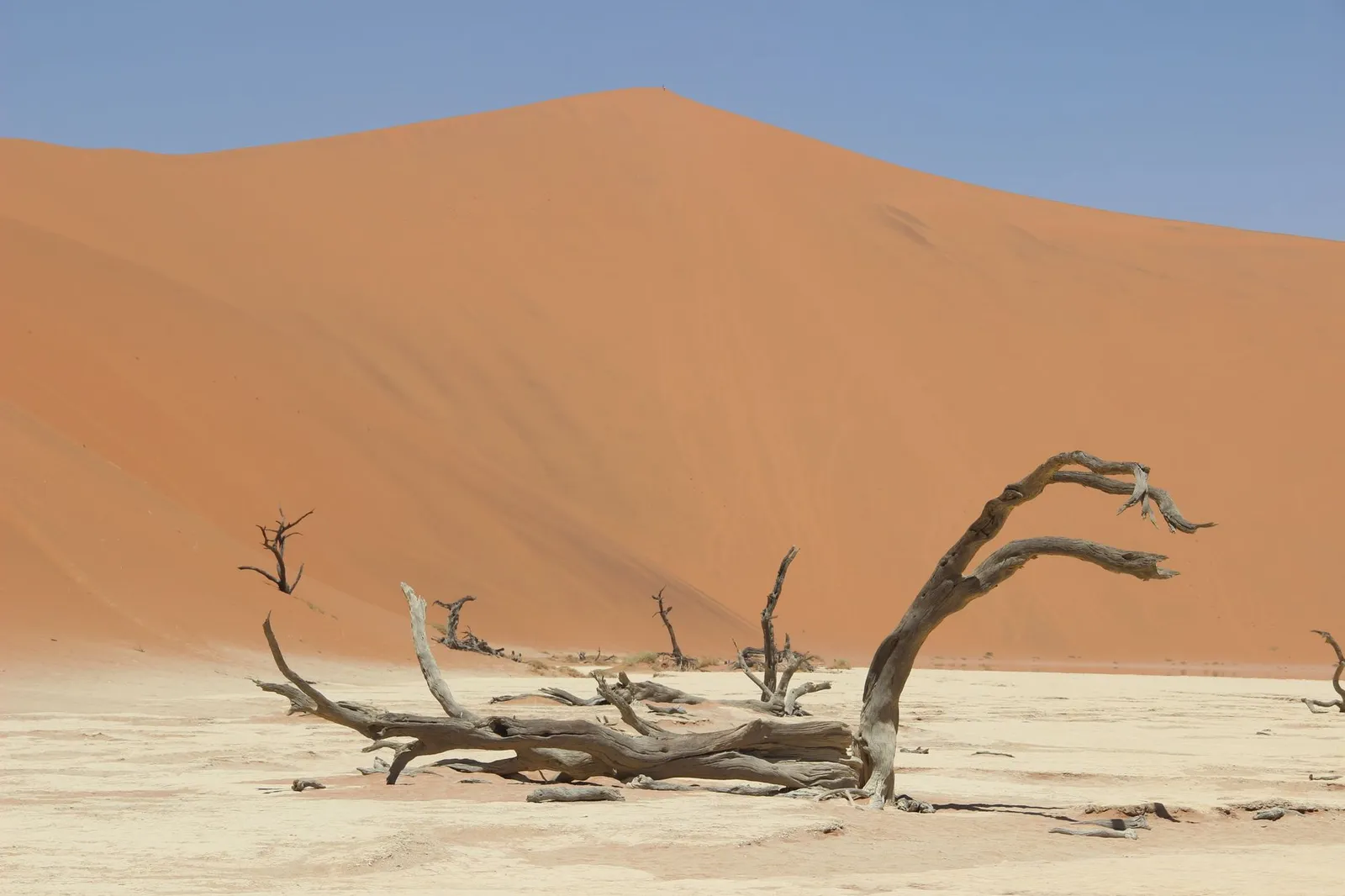 Namib-Naukluft National Park — photograph 5