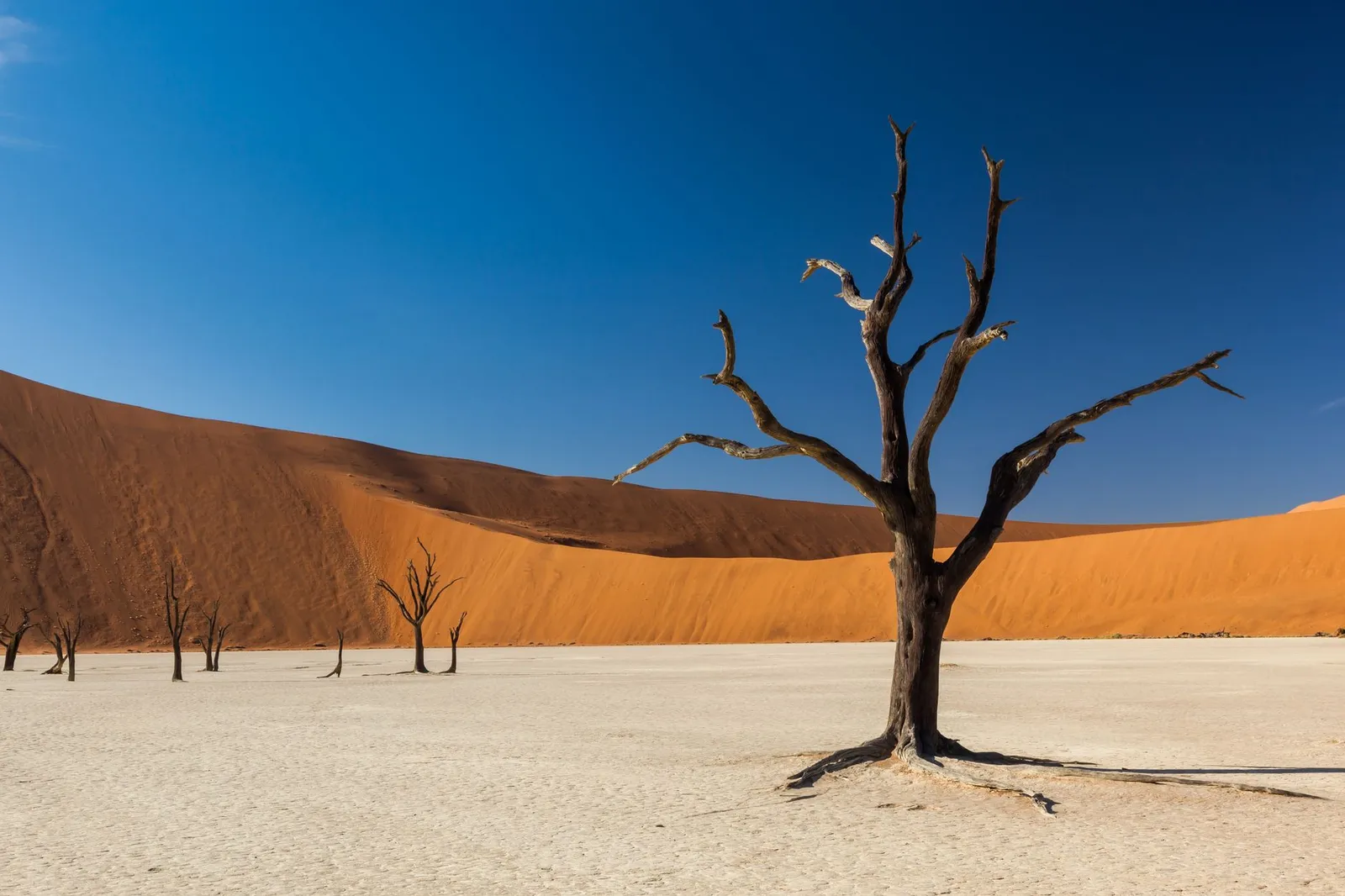 Namib-Naukluft National Park — photograph 6