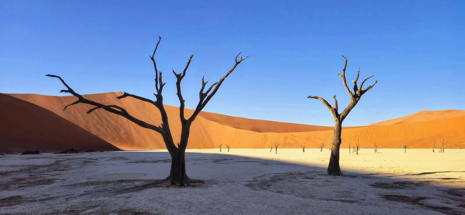 Namib-Naukluft National Park — photograph 7