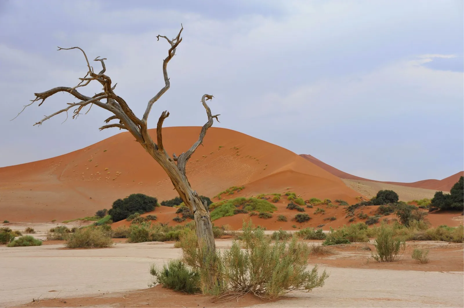 Namib-Naukluft National Park — photograph 8