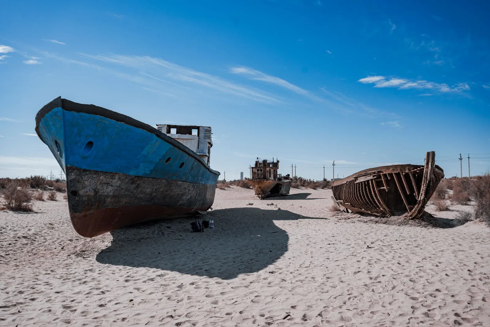 Skeleton Coast — photograph 8