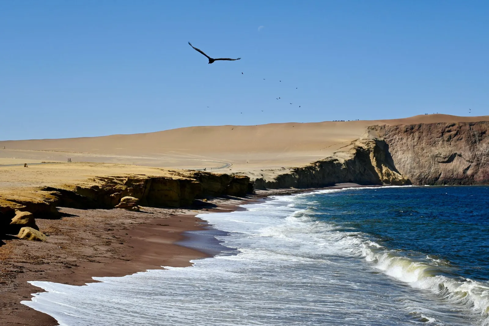 Skeleton Coast National Park — photograph 4