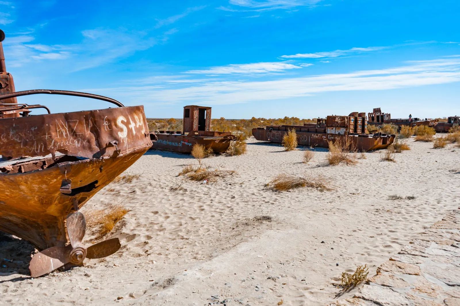 Skeleton Coast National Park — photograph 5