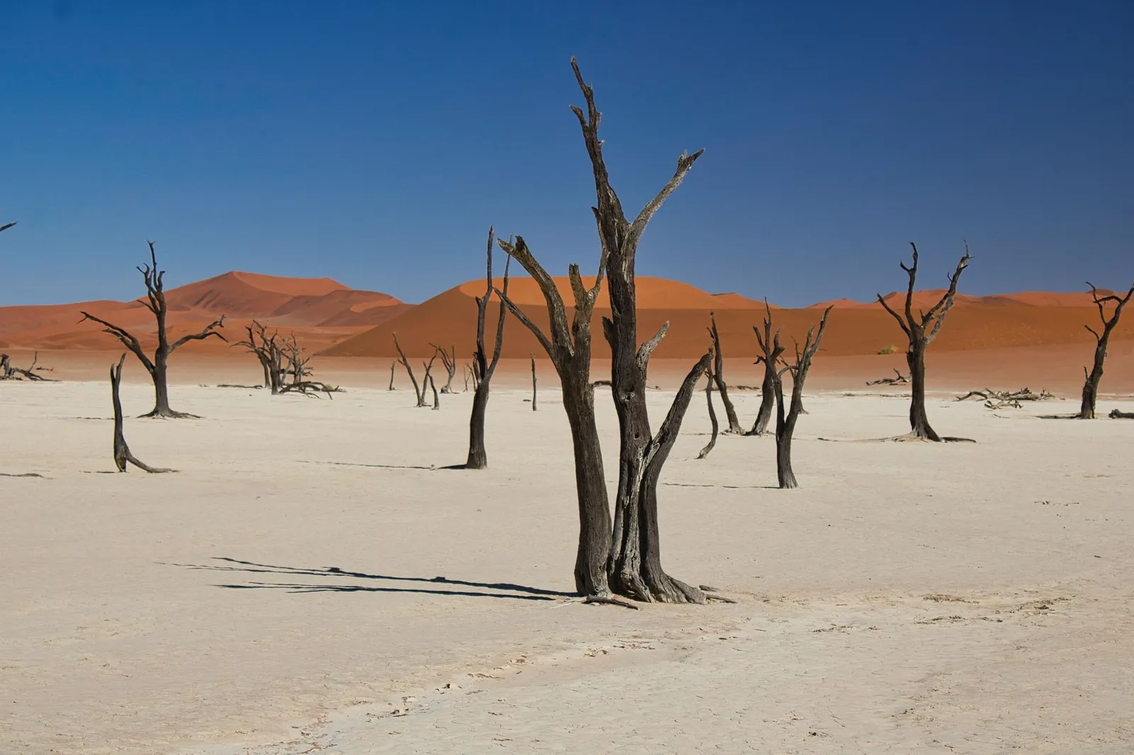Skeleton Coast National Park — photograph 8