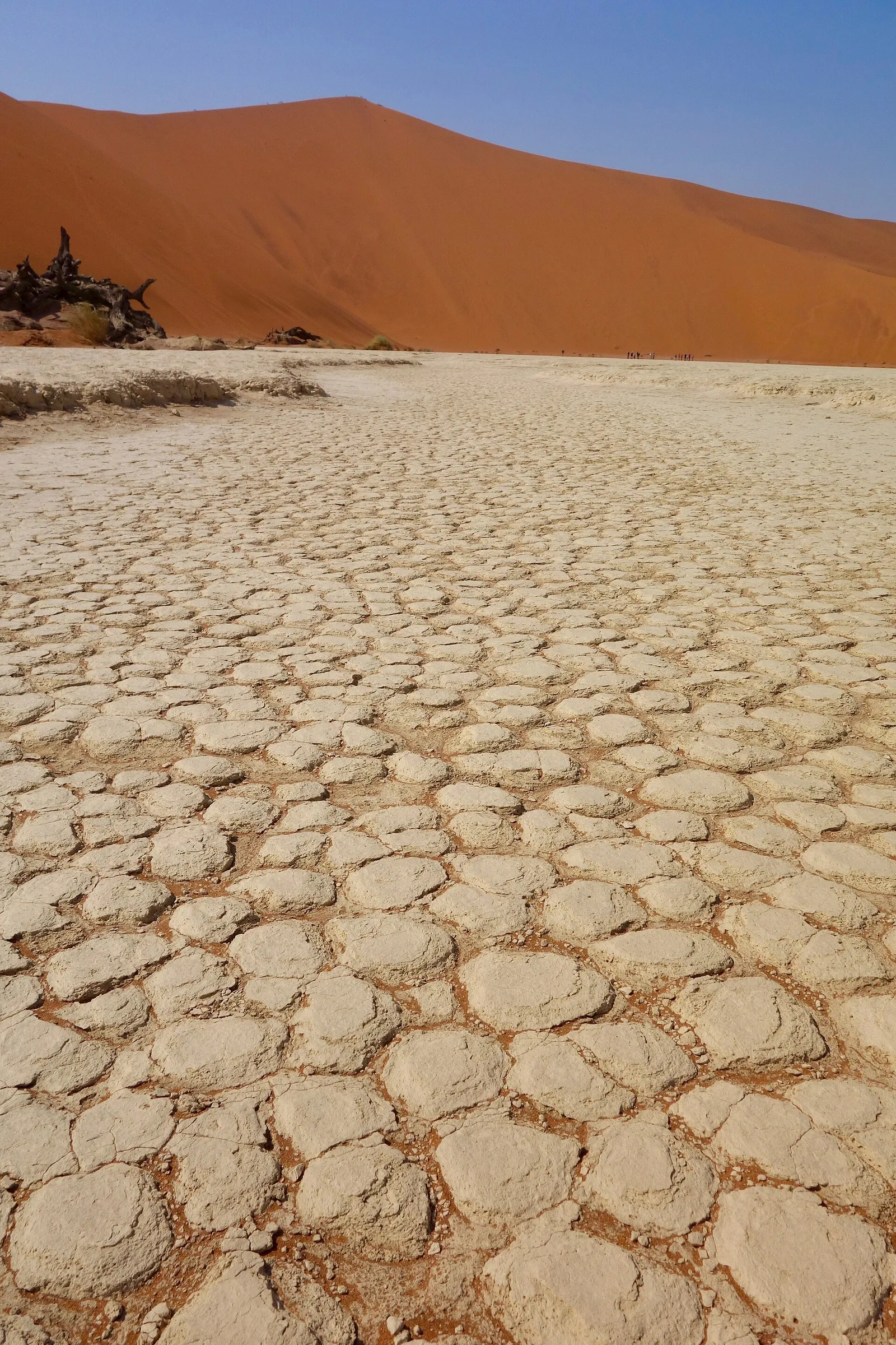 Sossusvlei & Deadvlei