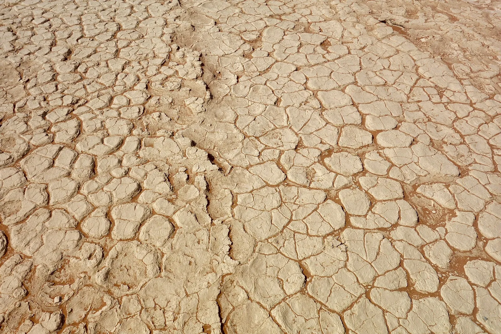 Sossusvlei & Deadvlei — photograph 5