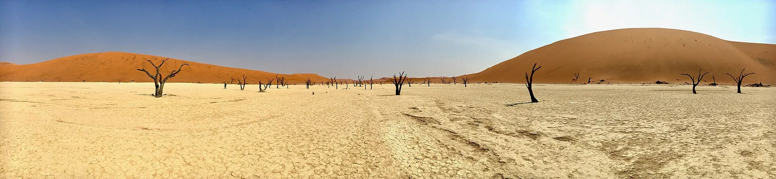 Sossusvlei & Deadvlei — photograph 6