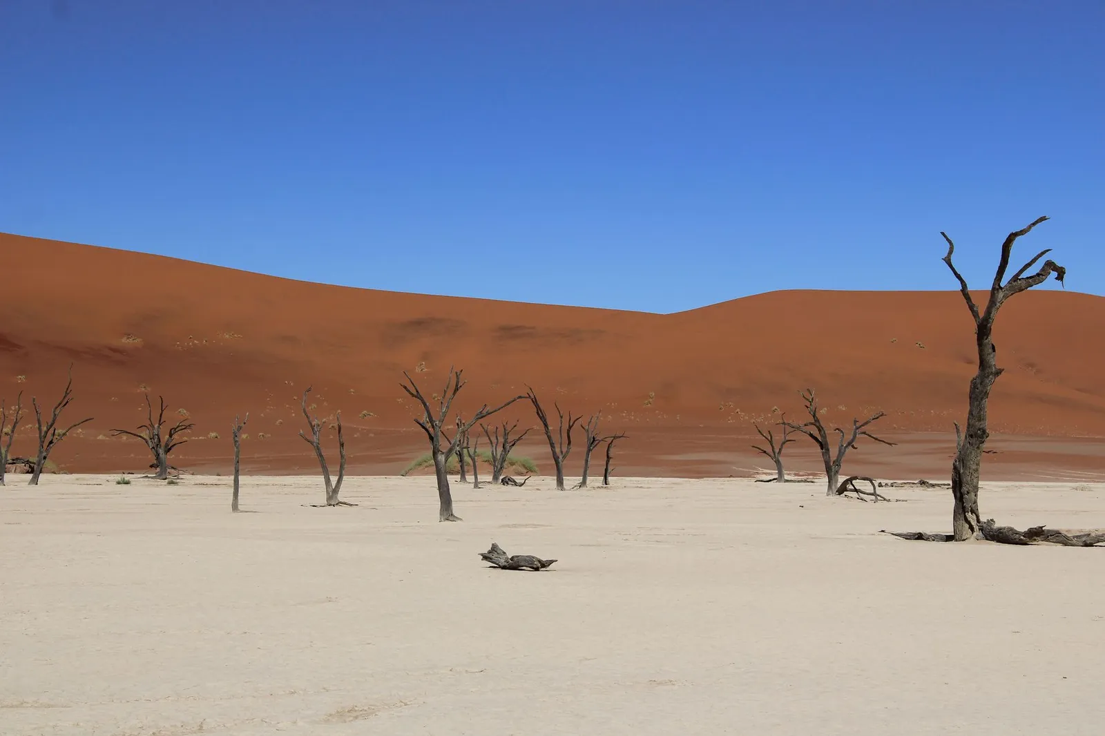 Sossusvlei & Deadvlei — photograph 7