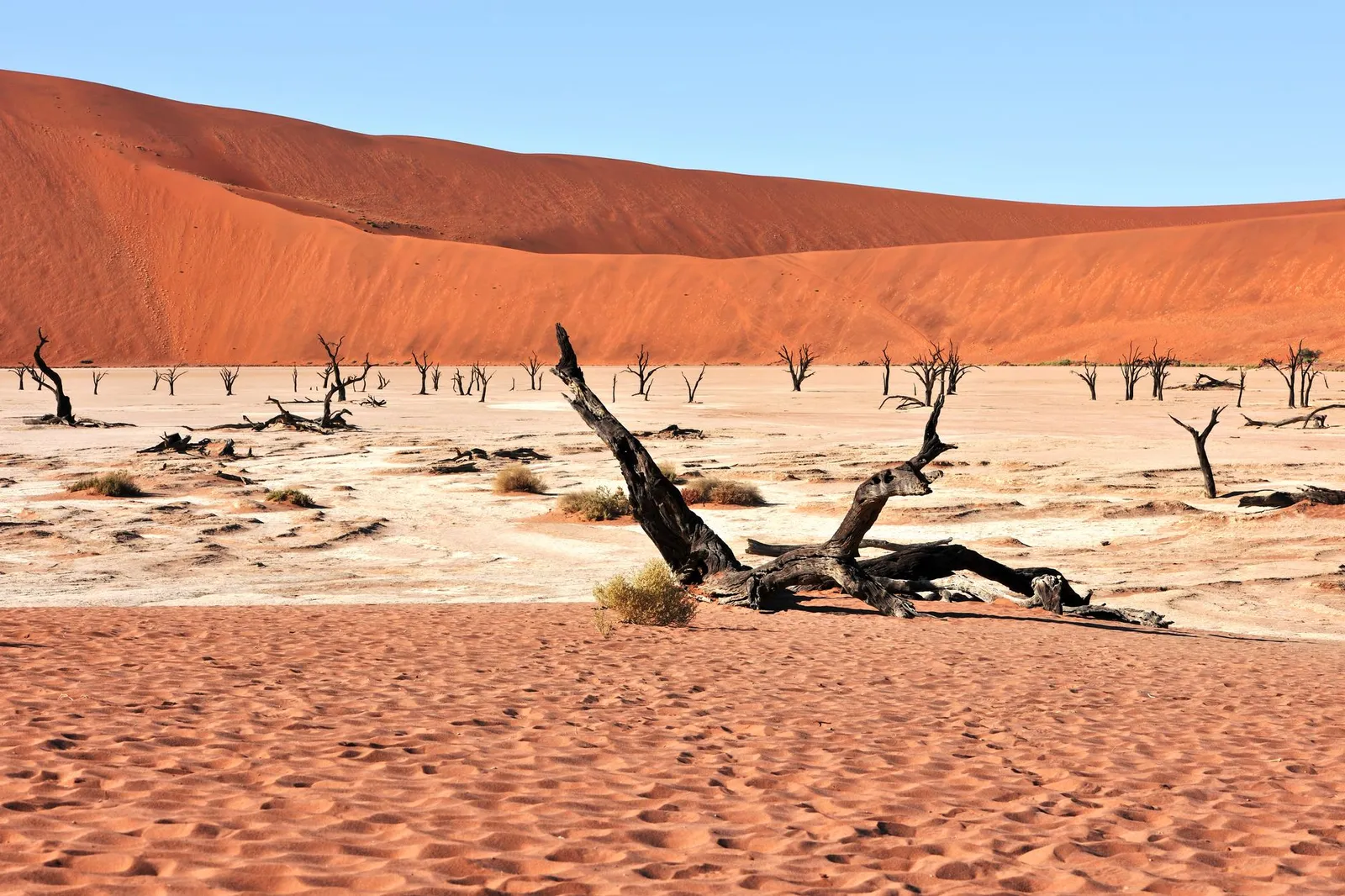 Sossusvlei & Deadvlei — photograph 9