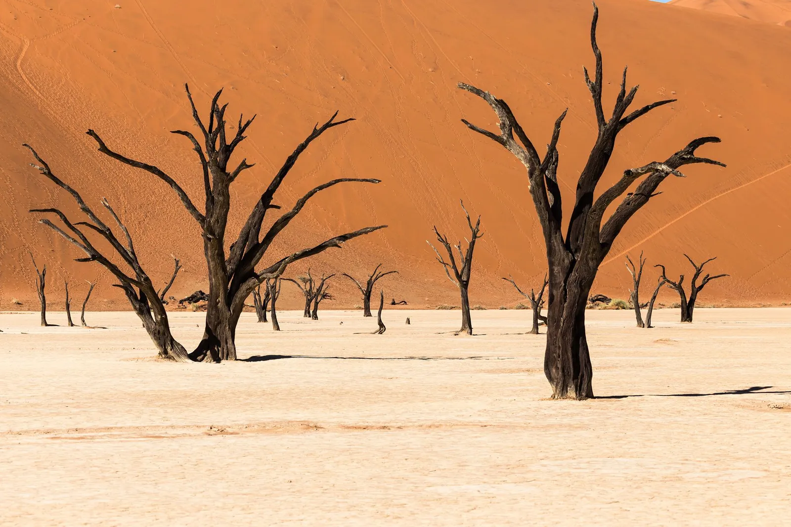 Sossusvlei & Deadvlei — photograph 10