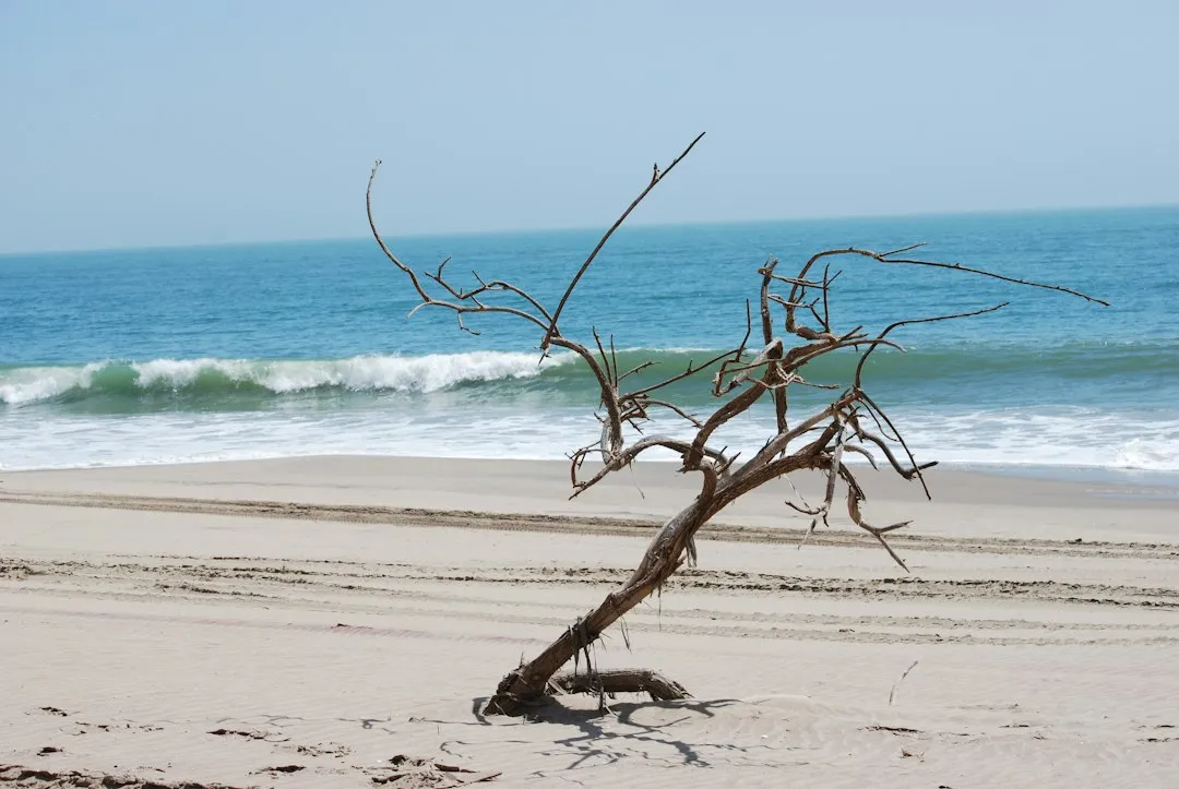 Swakopmund & Walvis Bay — photograph 10
