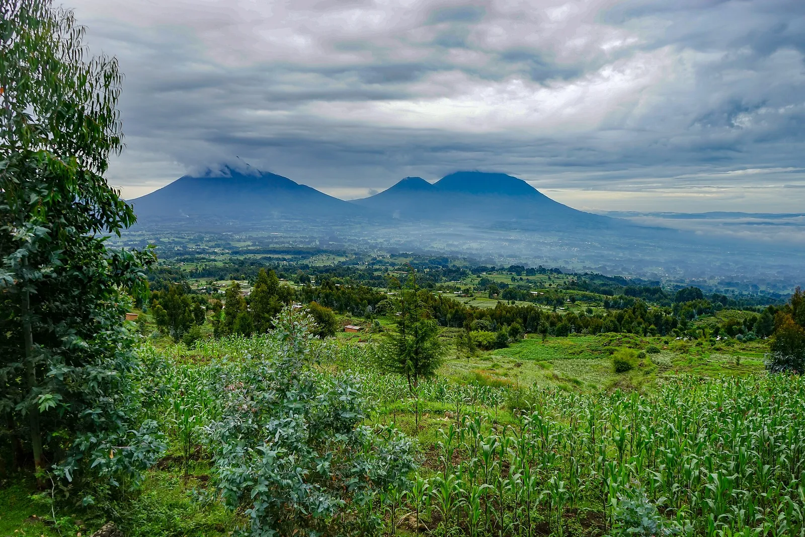 Twin Virunga volcanoes rising over Rwandan farmland