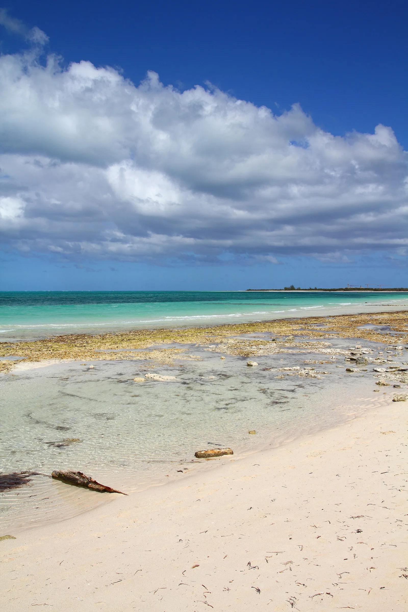 Coco Beach