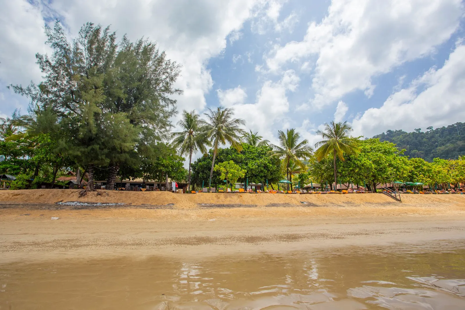 Coco Beach — photograph 10