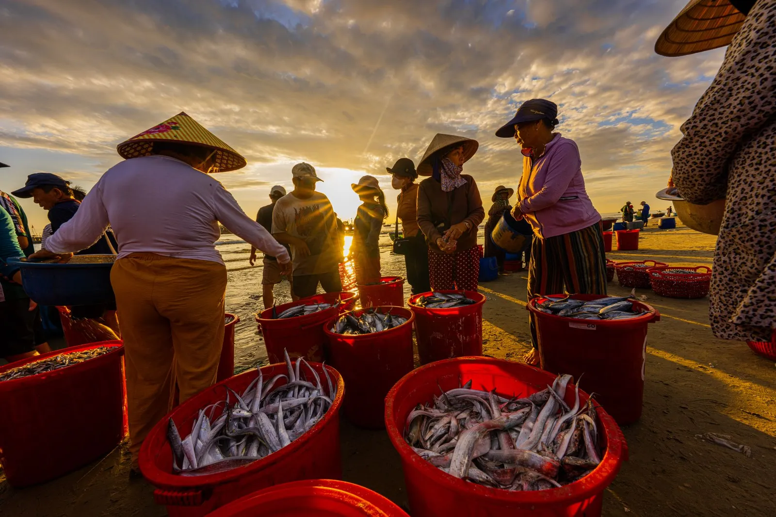 Kivukoni Fish Market — photograph 11