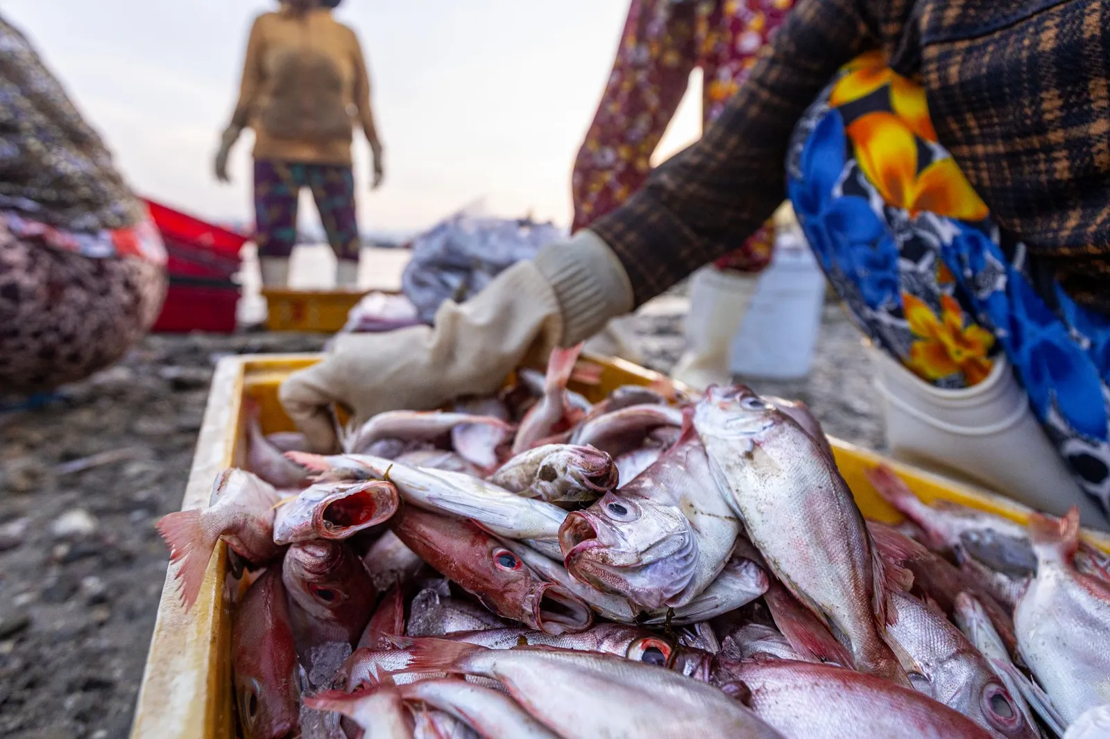 Kivukoni Fish Market — photograph 12