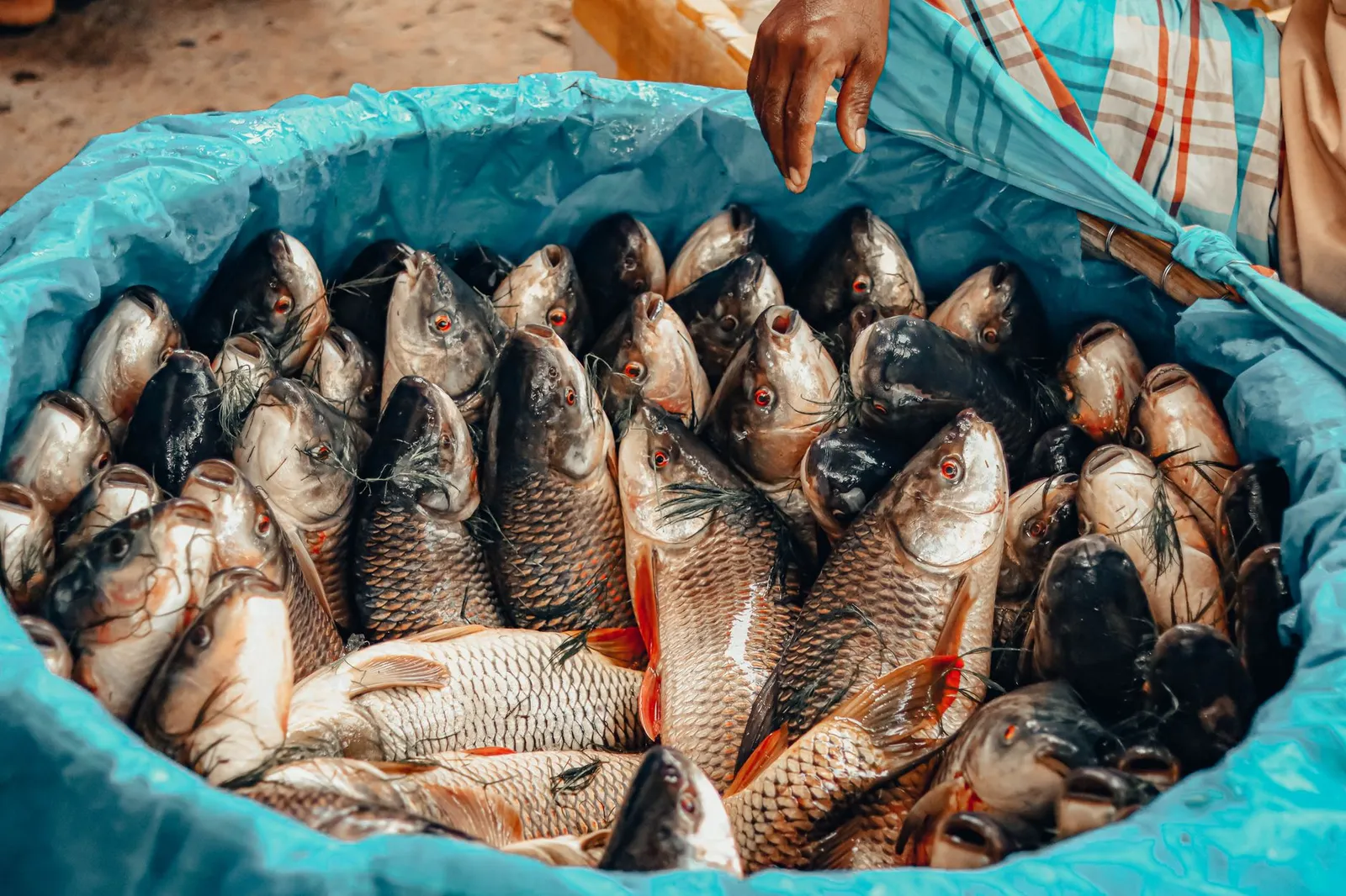 Kivukoni Fish Market