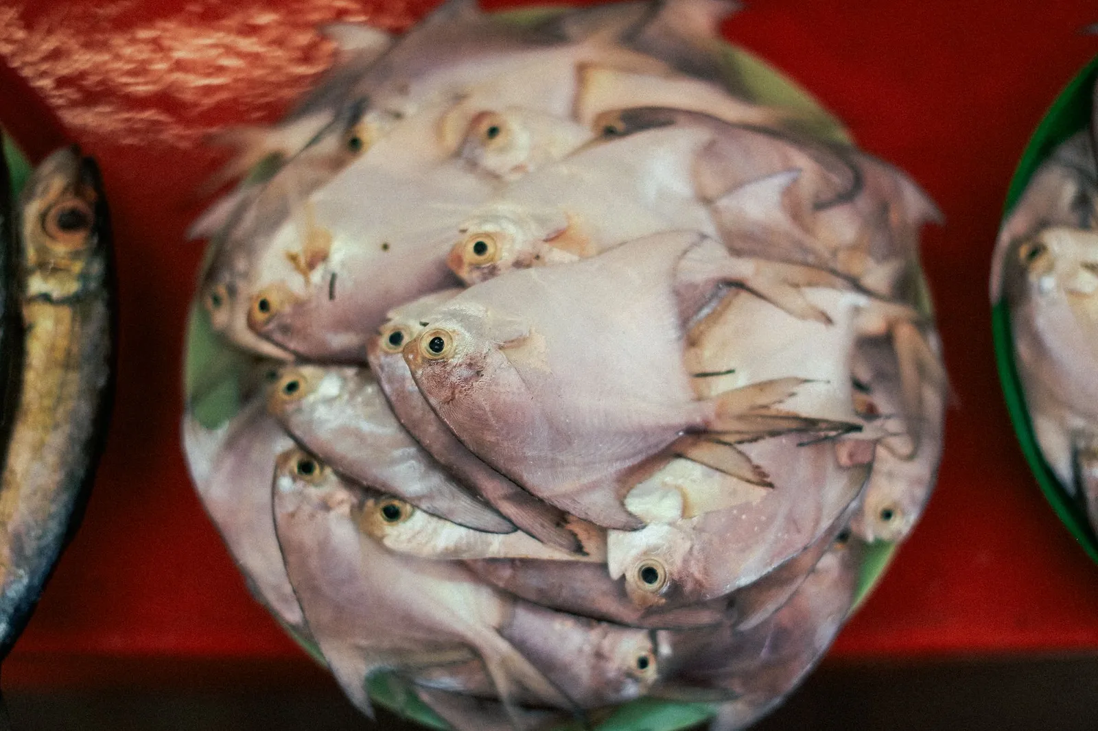 Kivukoni Fish Market — photograph 3