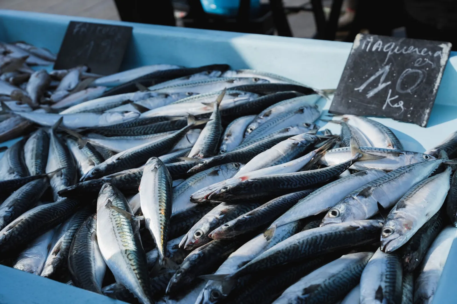 Kivukoni Fish Market — photograph 4