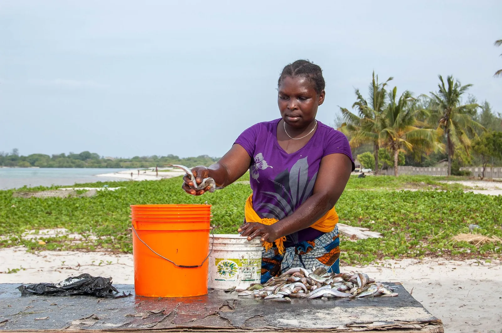 Kivukoni Fish Market — photograph 5